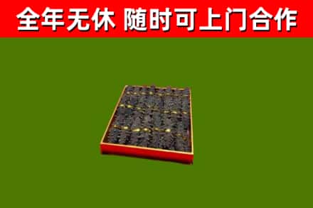 合江县回收海参